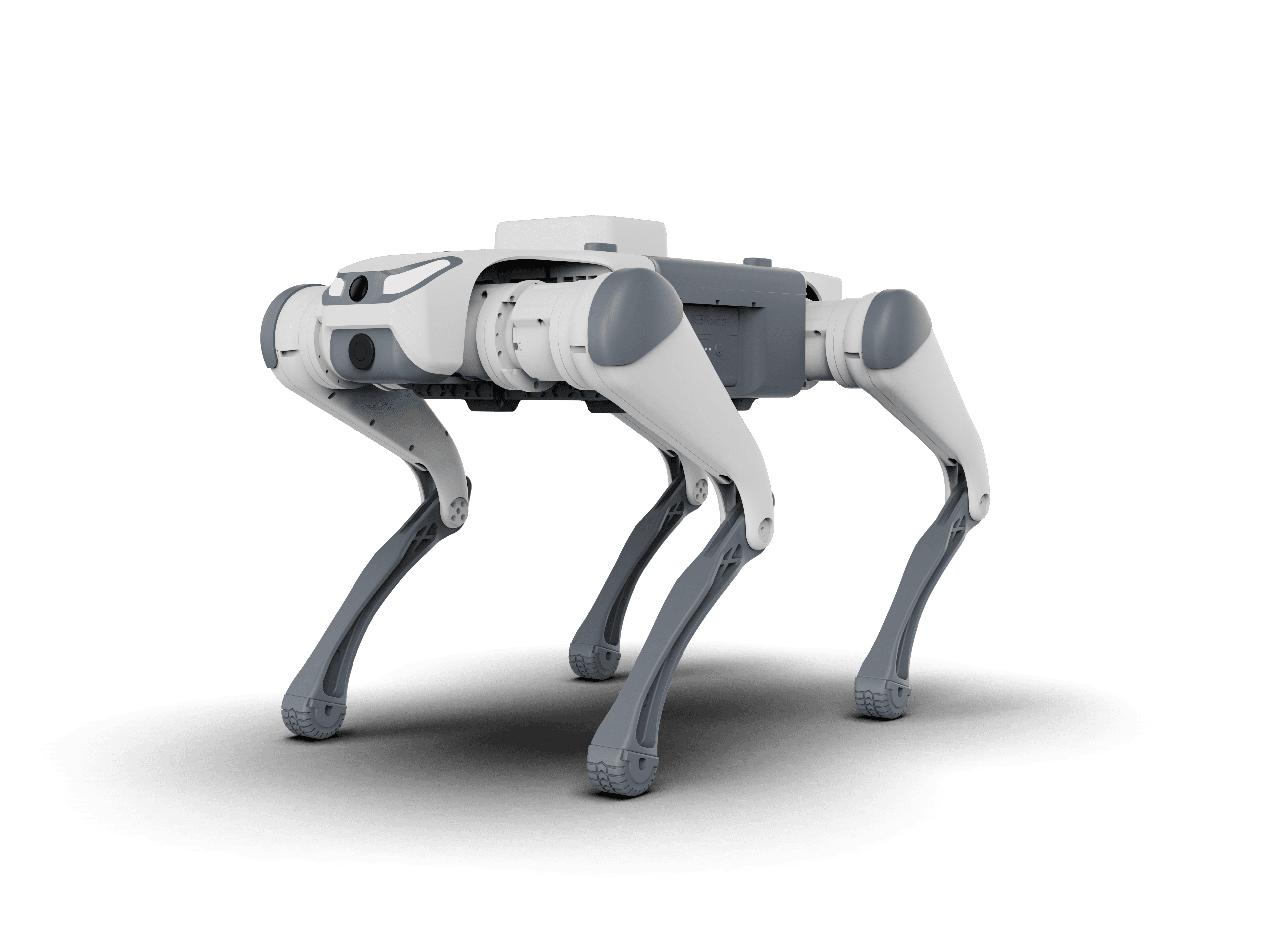 Quadruped robot SID1/Lite3 | 12 dof